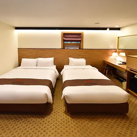 Hotel Skypark Myeongdong 1