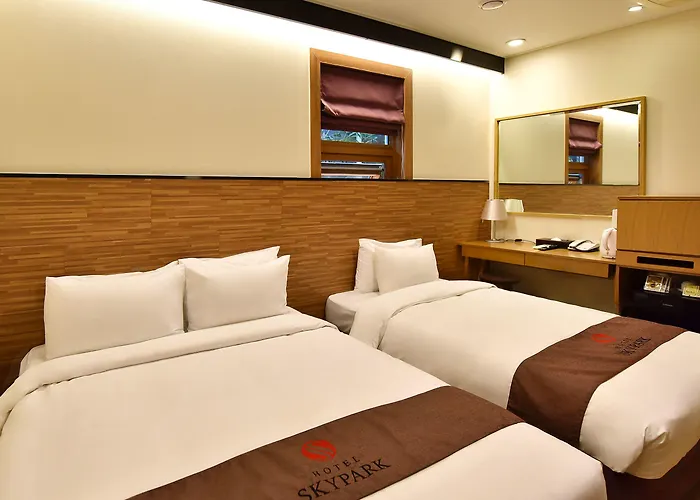 Skypark Myeongdong 1 3* Seul